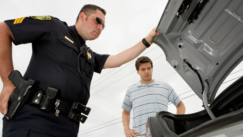 Marijuana and Car Search